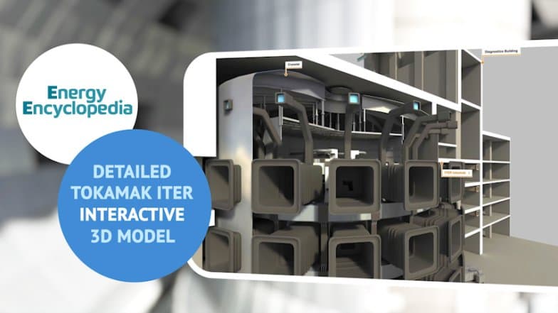 ITER Tokamak