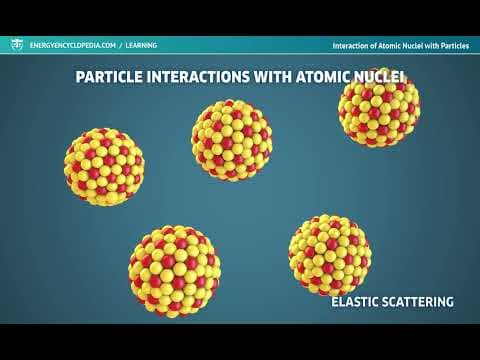 Interaction of Atomic Nuclei with Particles — video