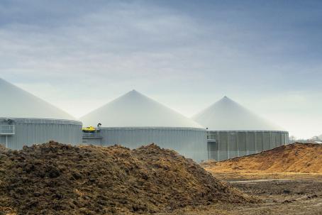 In anaerobic digestion, manure is used as sustenance for the methane-producing bacteria.