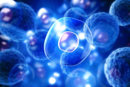 Cells are basic building blocks of non-fossil biological material.