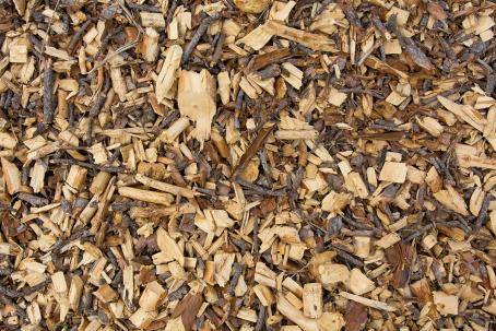 Wood chips — freshly processed waste dendromass.