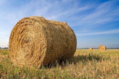 The disadvantage of straw combustion is its large volume and the need to alter the combustion process.