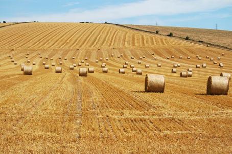 Less than a fifth of the yearly straw production can be used for energetic purposes.