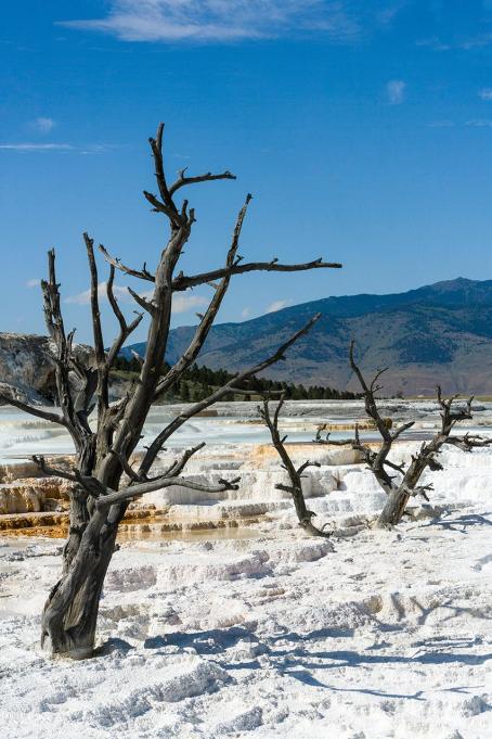 Strongly mineralized hot water from geothermal fields has only a localized negative impact on the environment.