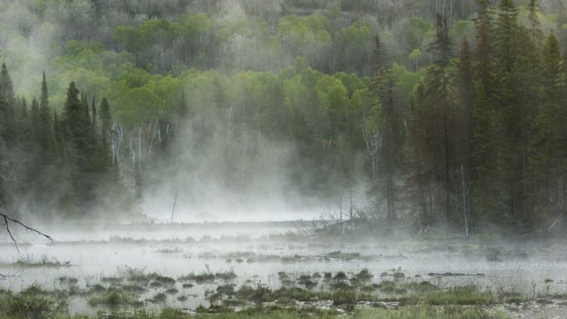 Natural evaporation from watercourses. (Source: © Seb / stock.adobe.com)