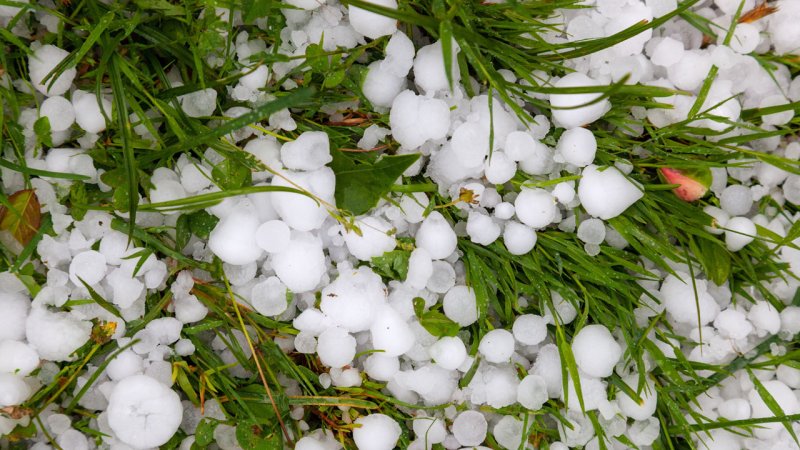 Hail forms when water droplets freeze within storm clouds and fall to the ground as hailstones. (Source: © Goran / stock.adobe.com)