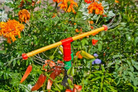 A simple rotating sprinkler with water jets producing the torque that turns its horizontal arm.