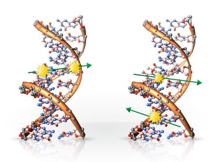 DNA damage caused by ionising radiation — one or both strands of the DNA double helix may be broken.
