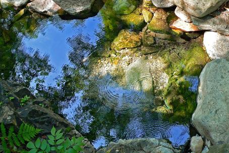 A spring containing naturally occurring radon used at a radon spa. Radon can enter groundwater as it passes through rocks containing uranium and radium. (Source: © Valeriy Kirsanov / stock.adobe.com)