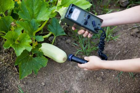Measuring radioactivity levels in agricultural produce. (Source: © Mihajlo Maricic / stock.adobe.com)
