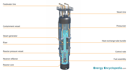 Illustration of a small modular reactor showing all major primary-circuit components integrated within the reactor pressure vessel. The image can be downloaded from the Free Downloads / Images section.