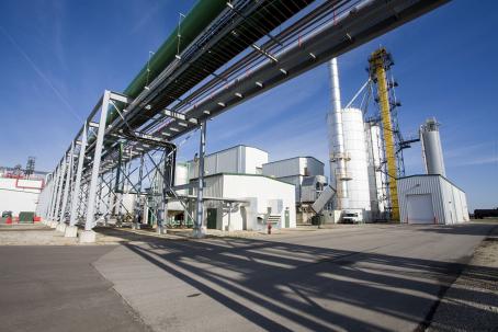 Biofuels production should cover about 8% of the transport requirement by 2035.