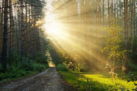 About half of the solar radiation reaching the Earth passes through the atmosphere and reaches the Earth's surface.