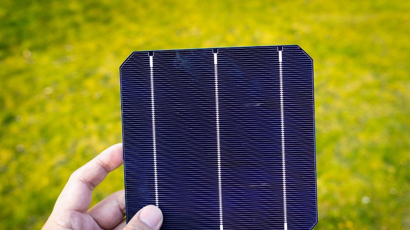 Monocrystalline solar cells are dark, have a homogeneous structure and often have rounded or truncated corners. (Source: © alice_photo / stock.adobe.com)