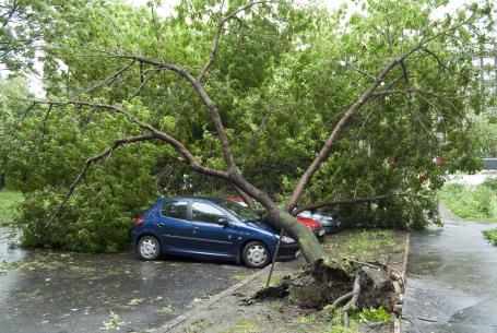 A whole gale, storm: Seldom experienced inland, trees are uprooted, considerable structural damage occurs. Wind speed: 89—102 km/h, wave height: 6—9 m