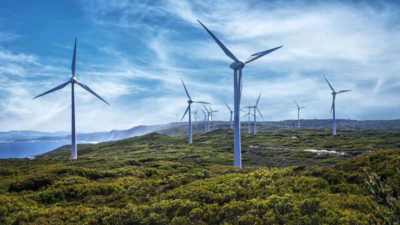 Coastal areas often provide favourable wind conditions for wind turbines. (Source: © Imagevixen / stock.adobe.com)