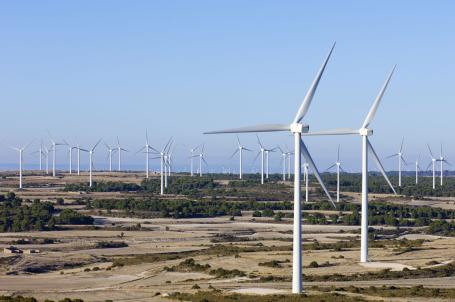 A large number of wind turbines extend across this coastal area, taking advantage of favourable wind conditions.