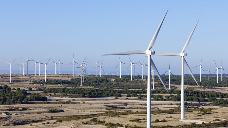 Some large wind farms contain such a high concentration of turbines that they can resemble wind turbine forests. (Source: © pedrosala / stock.adobe.com)